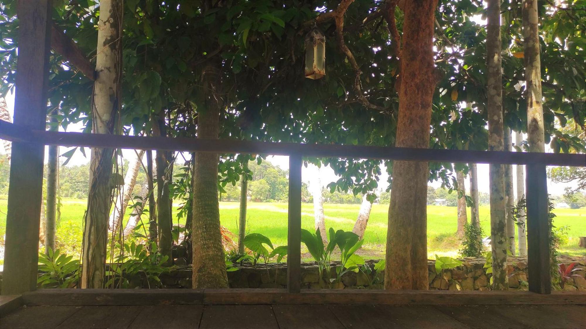 S'Ekar Pinang Langkawi Bed & Breakfast Pantai Cenang  Dış mekan fotoğraf