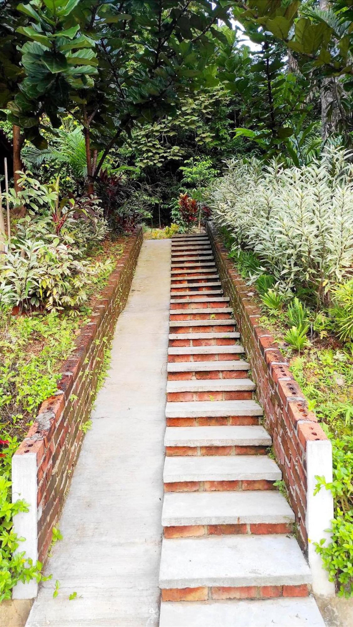 S'Ekar Pinang Langkawi Bed & Breakfast Pantai Cenang  Dış mekan fotoğraf