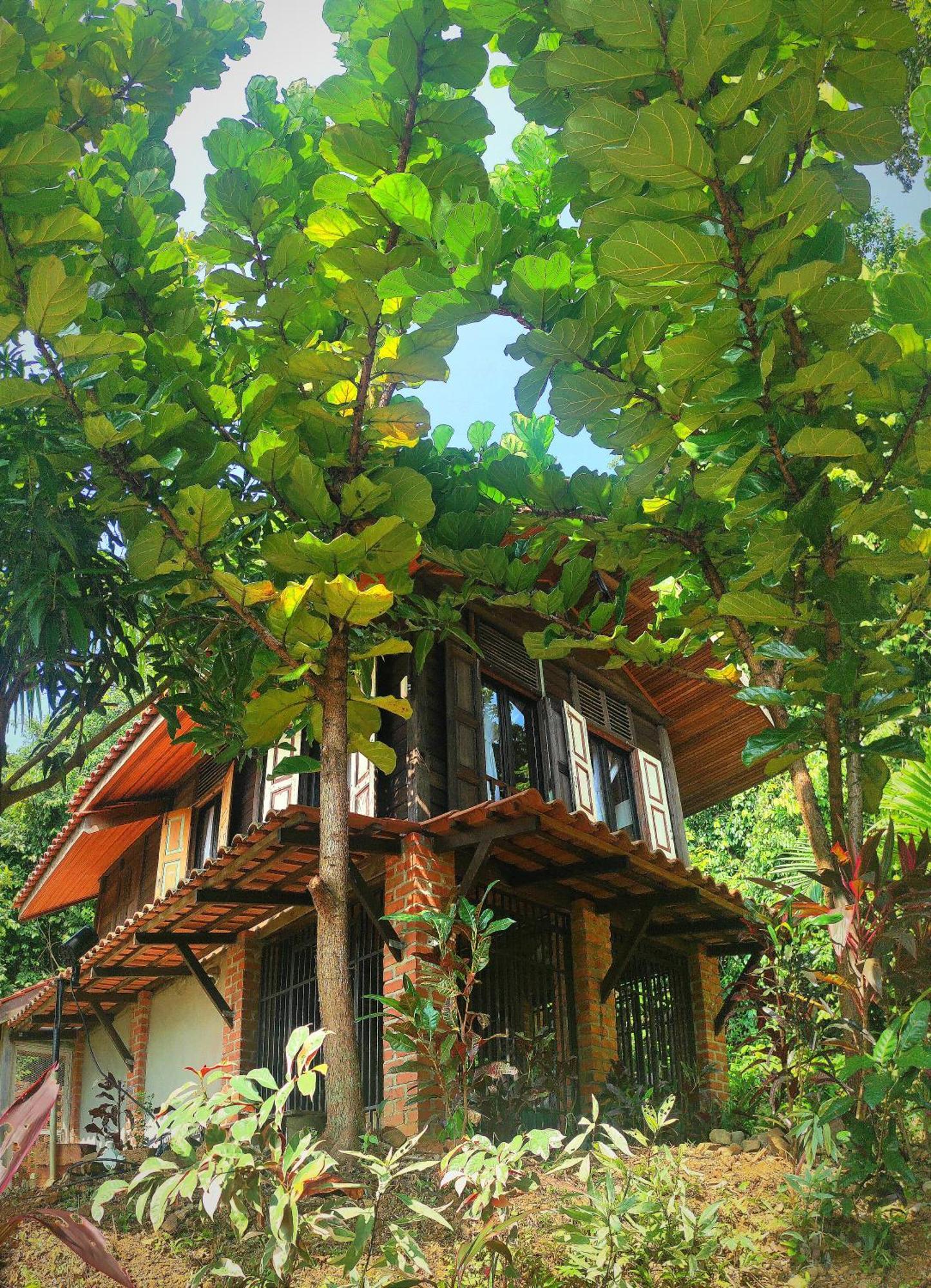 S'Ekar Pinang Langkawi Bed & Breakfast Pantai Cenang  Dış mekan fotoğraf